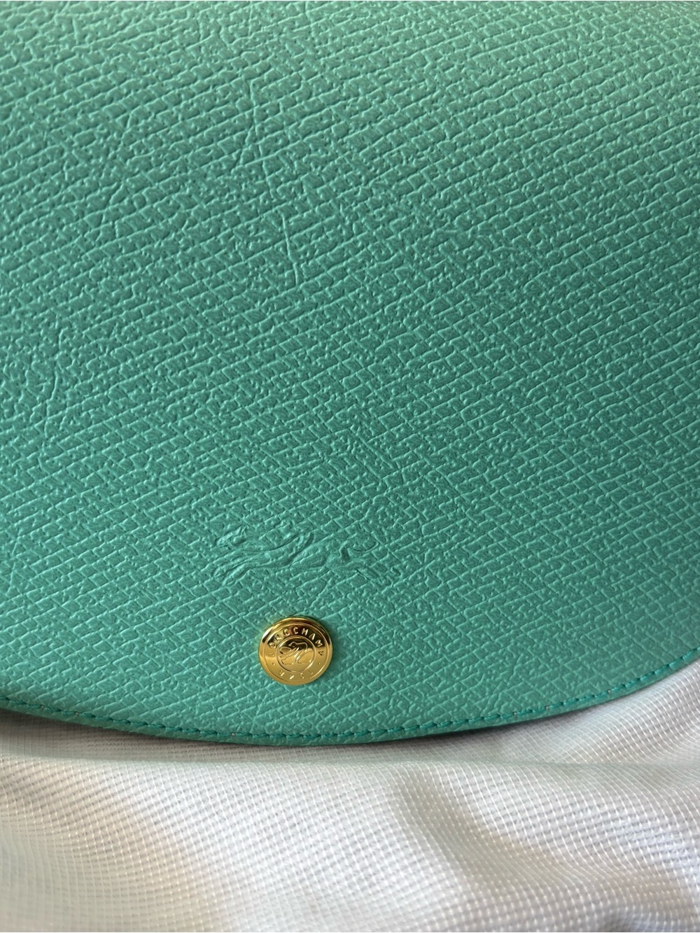 Longchamp Epure Mint leather Crossbody Bag - like new with tags and dustbag - Picture 5 of 12